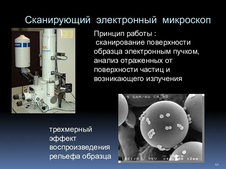 Сканирующий электронный микроскоп Принцип работы : сканирование поверхности образца электронным пучком,