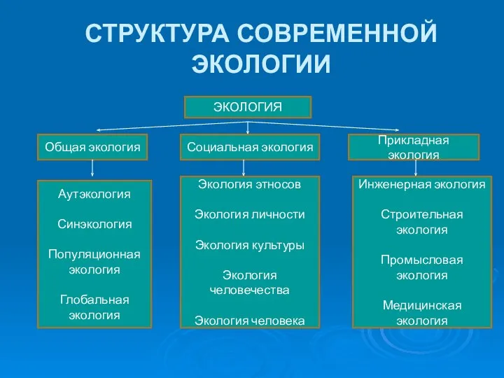 СТРУКТУРА СОВРЕМЕННОЙ ЭКОЛОГИИ ЭКОЛОГИЯ Общая экология Социальная экология Прикладная экология Аутэкология