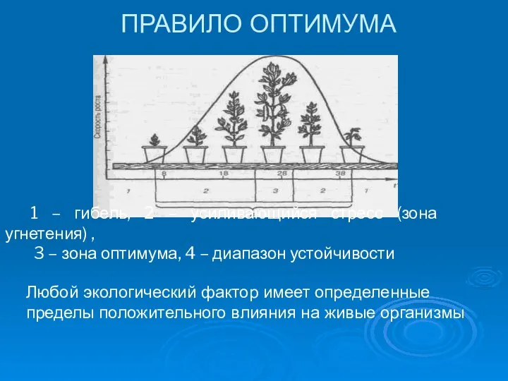 ПРАВИЛО ОПТИМУМА 1 – гибель, 2 – усиливающийся стресс (зона угнетения)