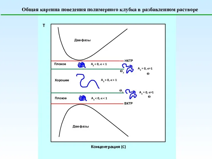 Общая картина поведения полимерного клубка в разбавленном растворе