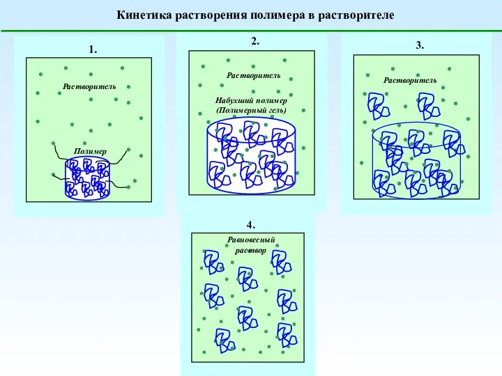 Кинетика растворения полимера в растворителе ;