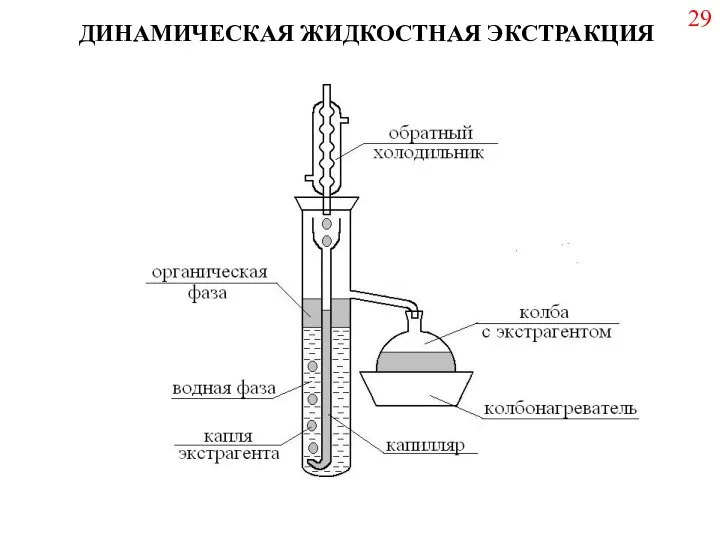 ДИНАМИЧЕСКАЯ ЖИДКОСТНАЯ ЭКСТРАКЦИЯ 29