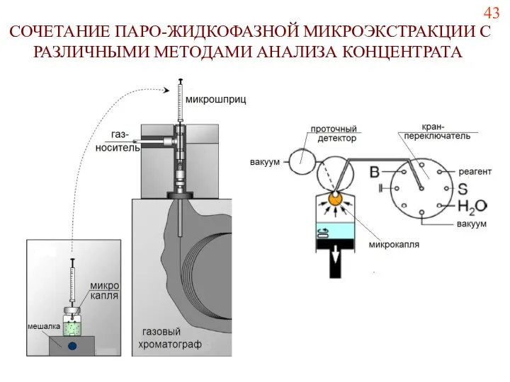 СОЧЕТАНИЕ ПАРО-ЖИДКОФАЗНОЙ МИКРОЭКСТРАКЦИИ С РАЗЛИЧНЫМИ МЕТОДАМИ АНАЛИЗА КОНЦЕНТРАТА 43