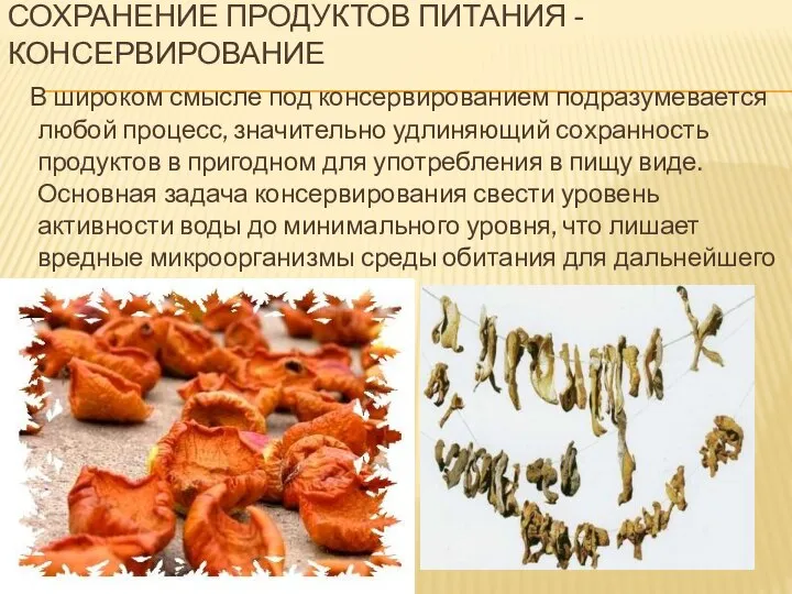 СОХРАНЕНИЕ ПРОДУКТОВ ПИТАНИЯ - КОНСЕРВИРОВАНИЕ В широком смысле под консервированием подразумевается