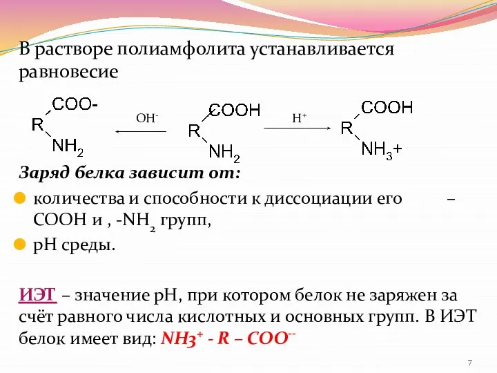 В растворе полиамфолита устанавливается равновесие Заряд белка зависит от: количества и
