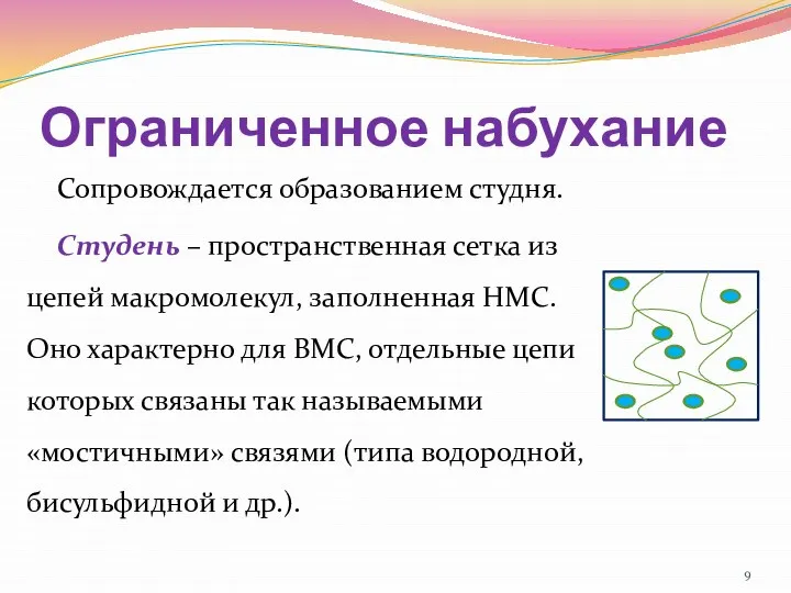 Ограниченное набухание Сопровождается образованием студня. Студень – пространственная сетка из цепей