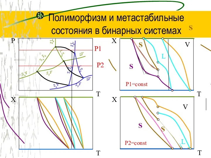 Полиморфизм и метастабильные состояния в бинарных системах Р T P1 V