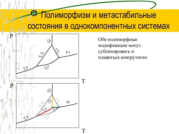 Полиморфизм и метастабильные состояния в однокомпонентных системах Обе полиморфные модификации могут сублимировать и плавиться конгруэнтно