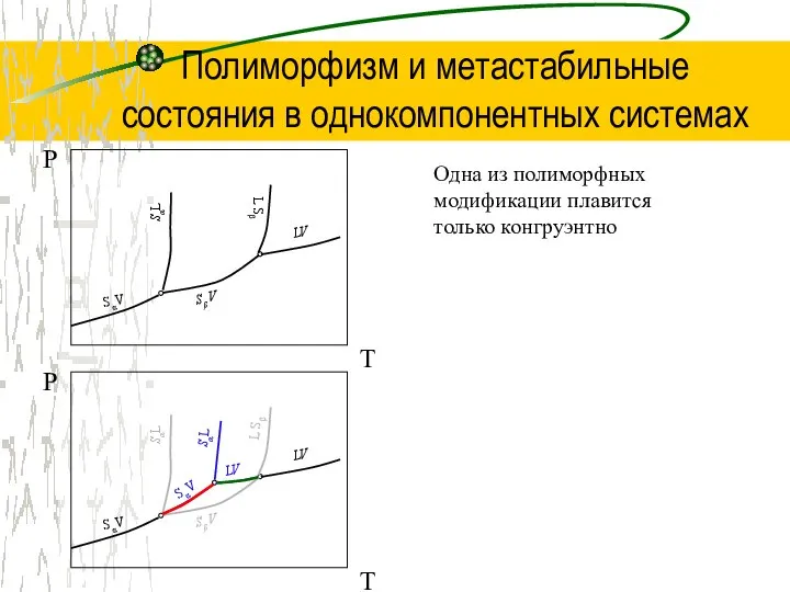 Полиморфизм и метастабильные состояния в однокомпонентных системах Одна из полиморфных модификации плавится только конгруэнтно