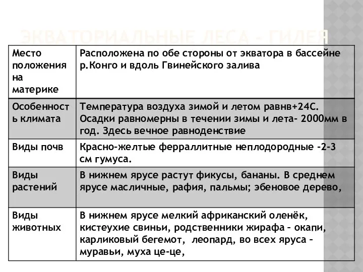 ЭКВАТОРИАЛЬНЫЕ ЛЕСА - ГИЛЕЯ