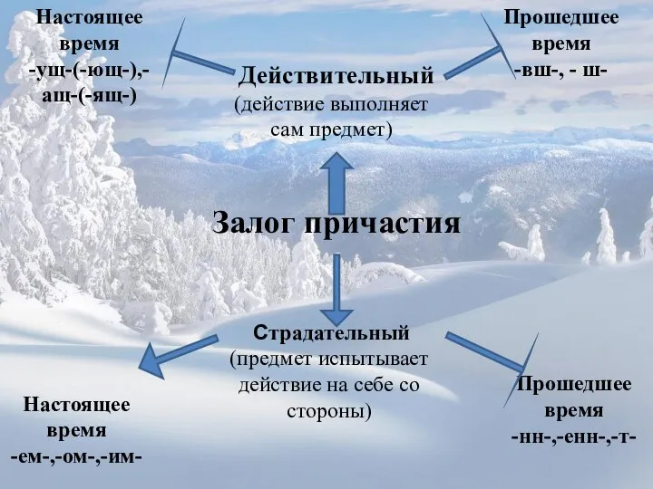 Залог причастия Действительный Страдательный (действие выполняет сам предмет) (предмет испытывает действие