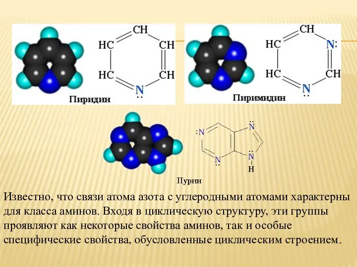 Известно, что связи атома азота с углеродными атомами характерны для класса