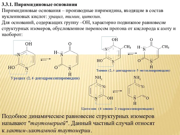 3.3.1. Пиримидиновые основания Пиримидиновые основания – производные пиримидина, входящие в состав