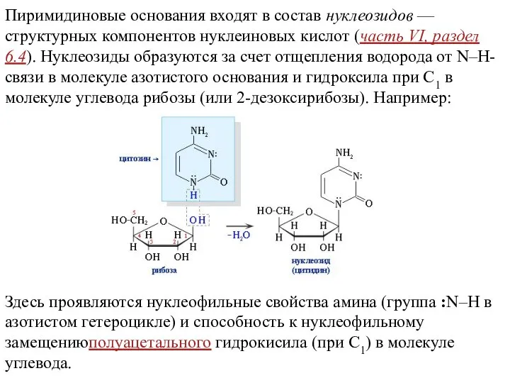 Пиримидиновые основания входят в состав нуклеозидов — структурных компонентов нуклеиновых кислот