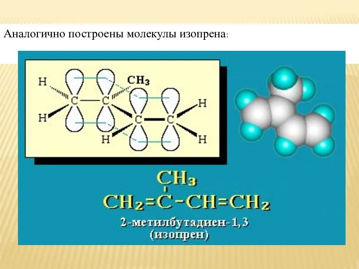 Аналогично построены молекулы изопрена: