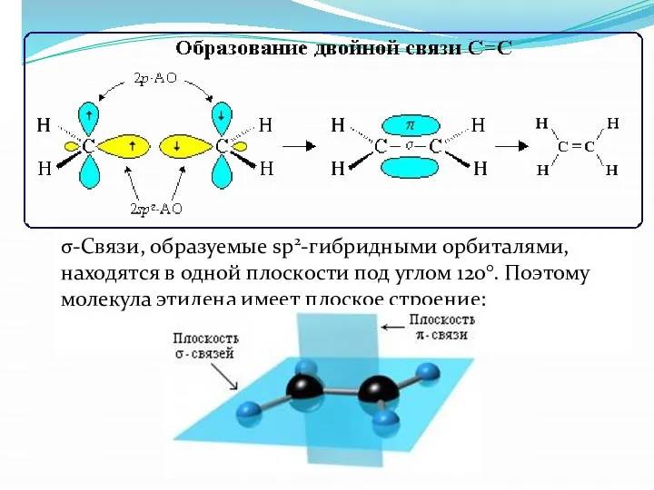 σ-Связи, образуемые sp2-гибридными орбиталями, находятся в одной плоскости под углом 120°.