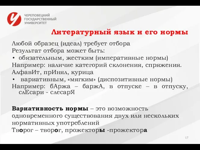 Литературный язык и его нормы Любой образец (идеал) требует отбора Результат