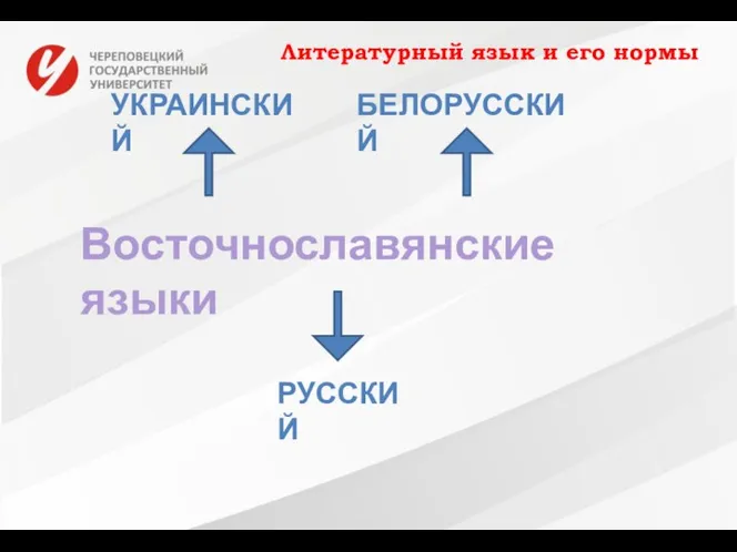 Восточнославянские языки РУССКИЙ УКРАИНСКИЙ БЕЛОРУССКИЙ Литературный язык и его нормы