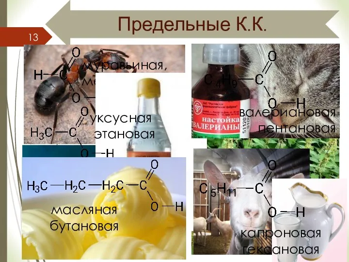 Предельные К.К. 06.05.2018 муравьиная, метановая уксусная этановая масляная бутановая валериановая пентановая капроновая гексановая