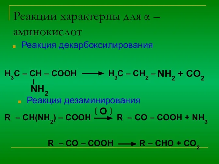 Реакции характерны для α – аминокислот Реакция декарбоксилирования H3C – CH