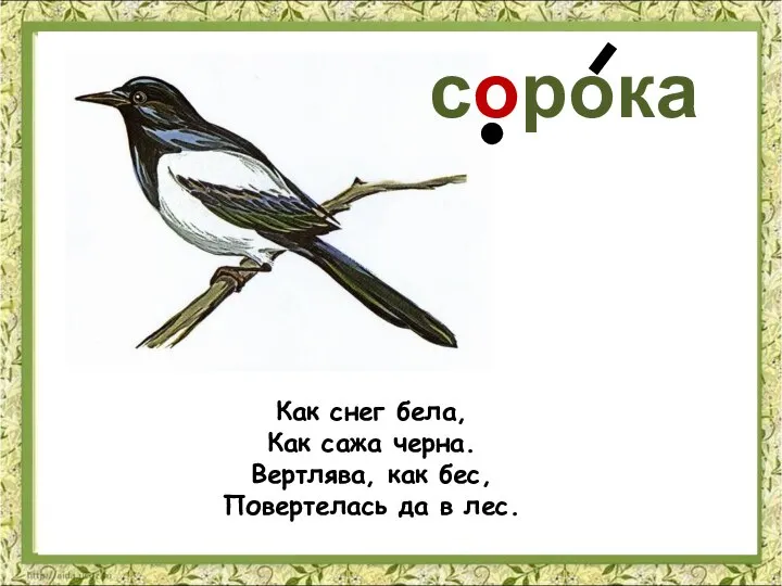 Как снег бела, Как сажа черна. Вертлява, как бес, Повертелась да в лес. сорока