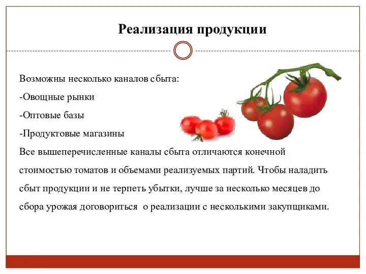 Возможны несколько каналов сбыта: -Овощные рынки -Оптовые базы -Продуктовые магазины Все