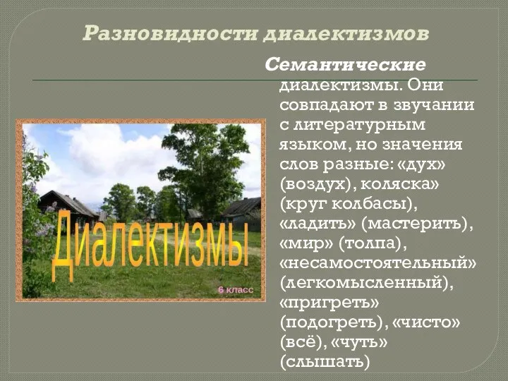 Разновидности диалектизмов Семантические диалектизмы. Они совпадают в звучании с литературным языком,