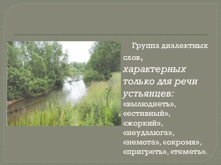 Группа диалектных слов, характерных только для речи устьянцев: «вылюднеть», «естивный», «жоркий», «неудалюга», «немота», «окромя», «пригреть», «теметь».