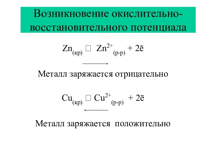 Возникновение окислительно-восстановительного потенциала Zn(кр) ⮀ Zn2+(р-р) + 2ē Металл заряжается отрицательно