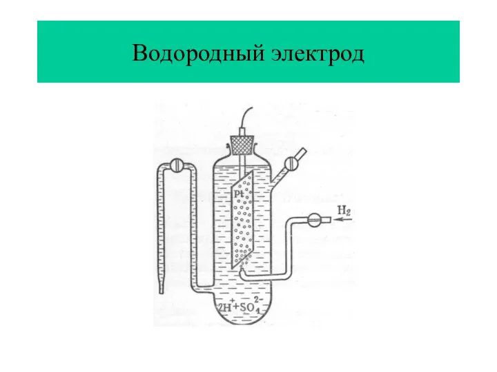 Водородный электрод