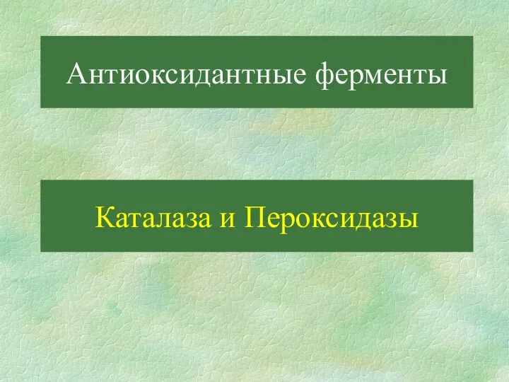 Антиоксидантные ферменты Каталаза и Пероксидазы