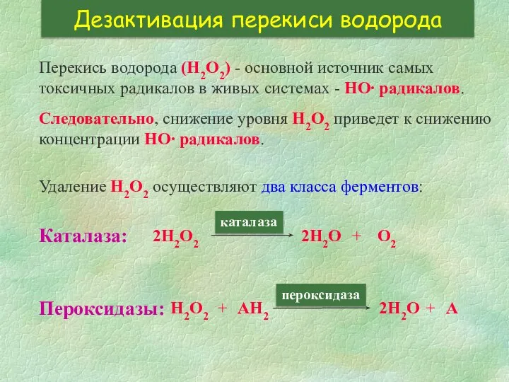 Дезактивация перекиси водорода Перекись водорода (Н2О2) - основной источник самых токсичных