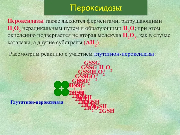 Пероксидазы Пероксидазы также являются ферментами, разрушающими Н2О2 нерадикальным путем и образующими