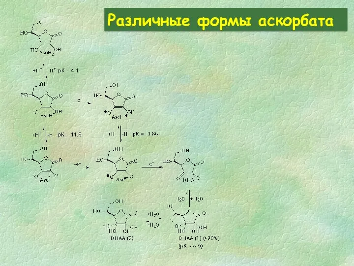 Различные формы аскорбата