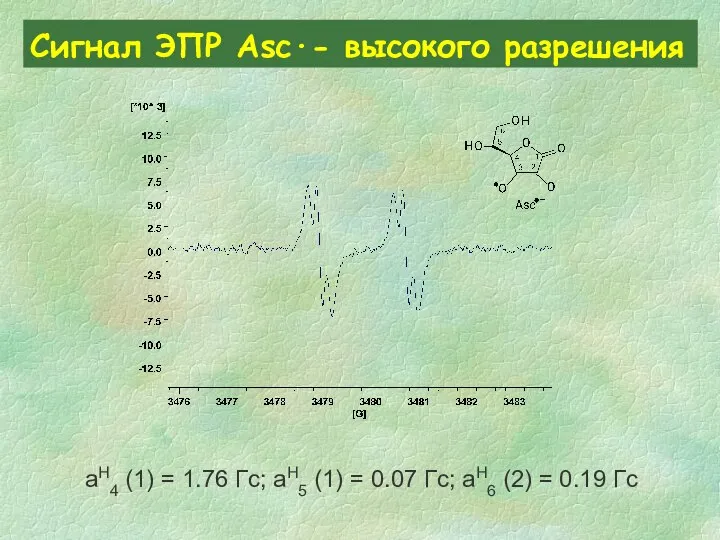 Сигнал ЭПР Asc∙- высокого разрешения aH4 (1) = 1.76 Гс; aH5