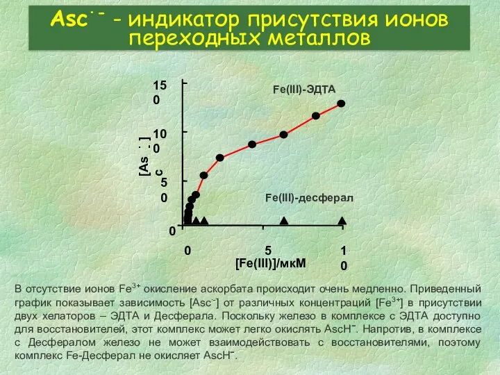 Asc∙- - индикатор присутствия ионов переходных металлов В отсутствие ионов Fe3+