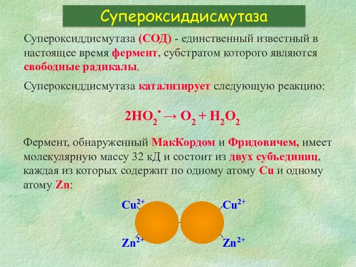 Супероксиддисмутаза Супероксиддисмутаза (СОД) - единственный известный в настоящее время фермент, субстратом