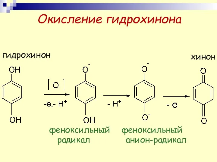 Окисление гидрохинона гидрохинон феноксильный радикал феноксильный анион-радикал хинон