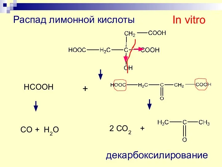 Распад лимонной кислоты HCOOH + CO + H2O 2 CO2 + декарбоксилирование In vitro