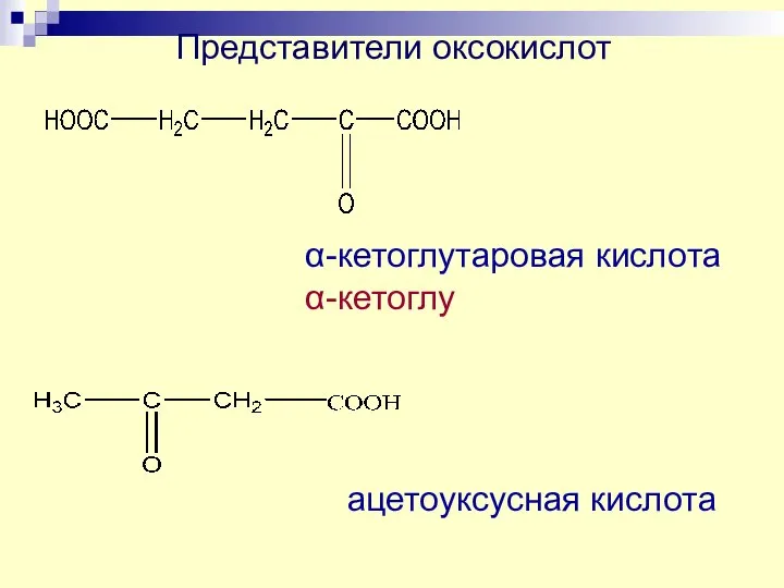 Представители оксокислот α-кетоглутаровая кислота α-кетоглу ацетоуксусная кислота
