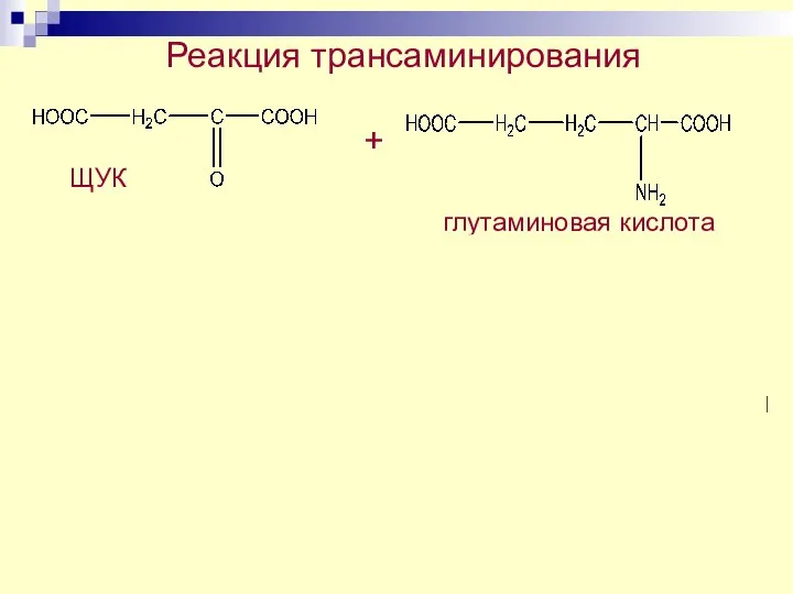 Реакция трансаминирования + ЩУК глутаминовая кислота аспарагиновая кислота + α-кетоглу пиридоксальфосфат