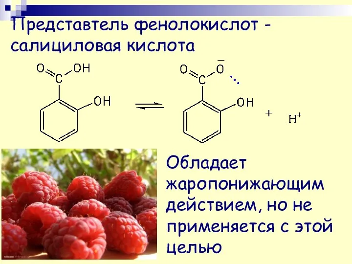 Представтель фенолокислот - салициловая кислота Обладает жаропонижающим действием, но не применяется с этой целью