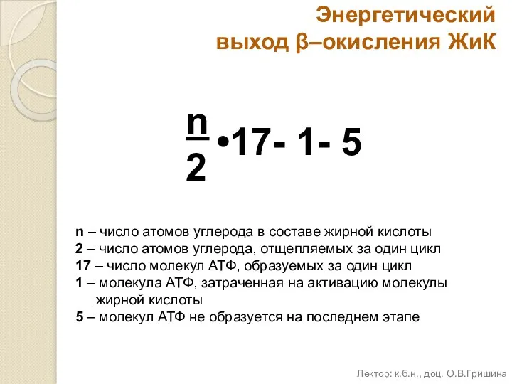 Энергетический выход β–окисления ЖиК n – число атомов углерода в составе