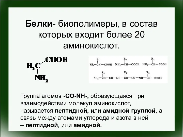 Белки- биополимеры, в состав которых входит более 20 аминокислот. Группа атомов