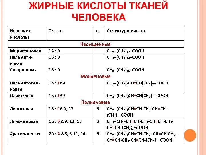 ЖИРНЫЕ КИСЛОТЫ ТКАНЕЙ ЧЕЛОВЕКА