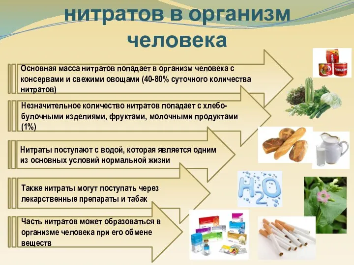 Пути попадания нитратов в организм человека Основная масса нитратов попадает в