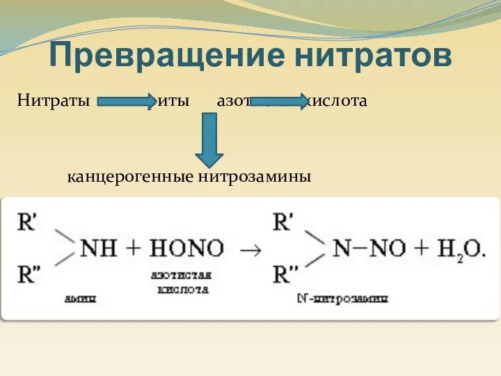 Нитраты нитриты азотистая кислота канцерогенные нитрозамины Превращение нитратов