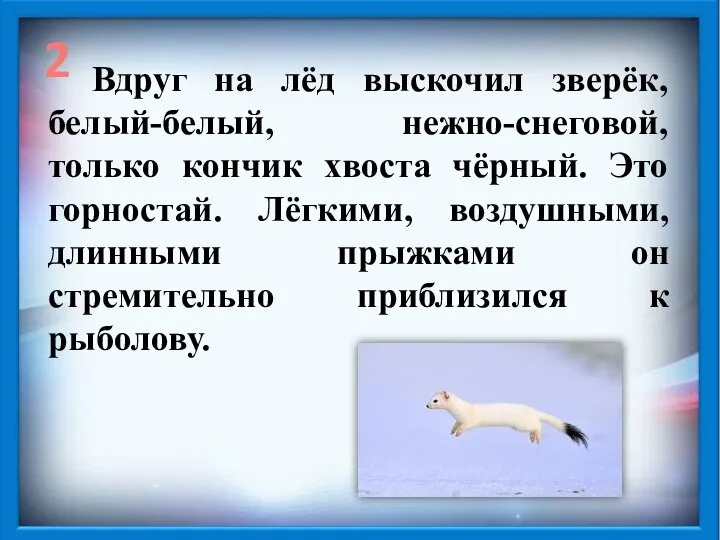 Вдруг на лёд выскочил зверёк, белый-белый, нежно-снеговой, только кончик хвоста чёрный.