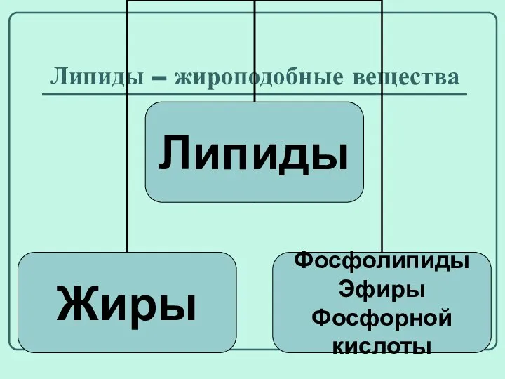 Липиды – жироподобные вещества