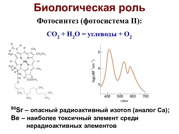 Биологическая роль 90Sr – опасный радиоактивный изотоп (аналог Ca); Be –